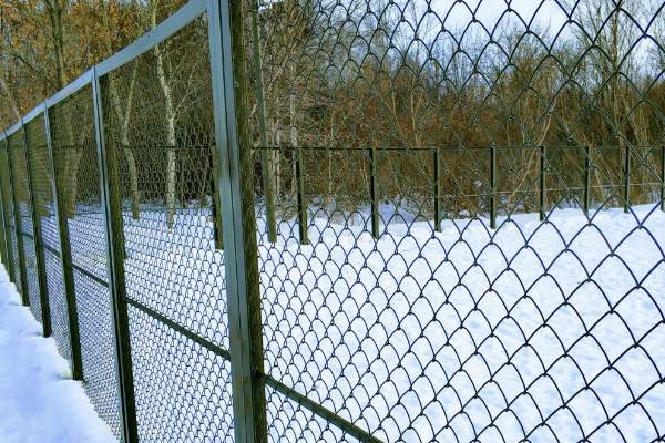 Забор из сетки рабица - фото